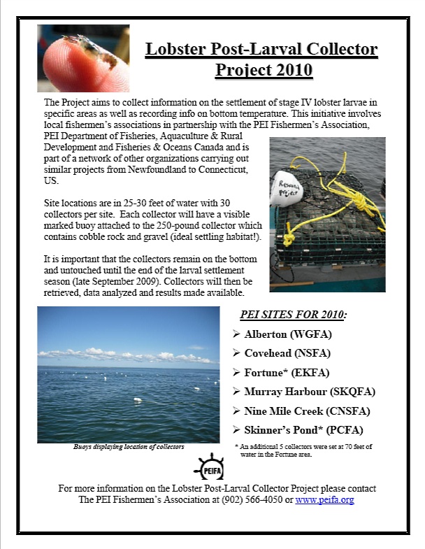 Lobster Post-Larval Collector Project 2010 poster.jpg